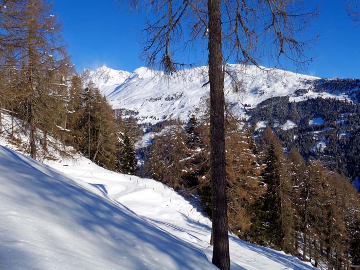 der Aufstieg führt zu Beginn durch walddurchsetztes Almgelände; Schlossherrenalm gegen NO auf Strasskopf (s. Archiv Schitouren) und Seichenköpfe (Mulleter im Archiv Bergsteigen)