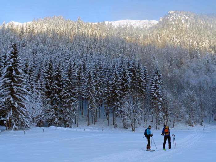 oberhalb des Buchauer Sattels trennt uns ein 700 m hoher Waldgürtel von der Südflanke des Grabnerstein; erst hinter dem Zilmkogel (rechts) wird das Gelände frei