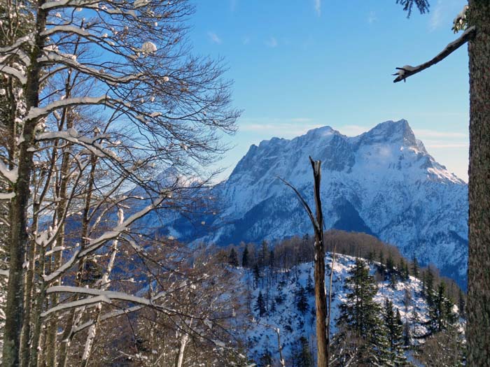 Durchblick aufs Buchsteinmassiv, im Vordergrund die bewaldete Felskuppe des Himmelreich, 1369 m 