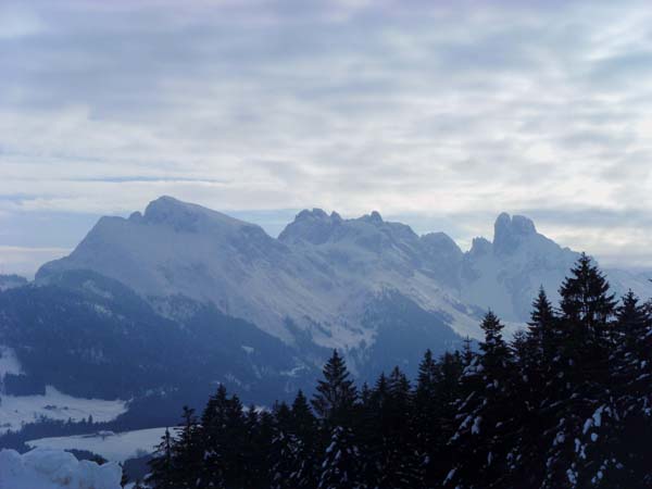 Blick vom Ausgangspunkt beim Wintererhof nach SO auf den Gosaukamm; ganz rechts die beiden Bischofsmützen