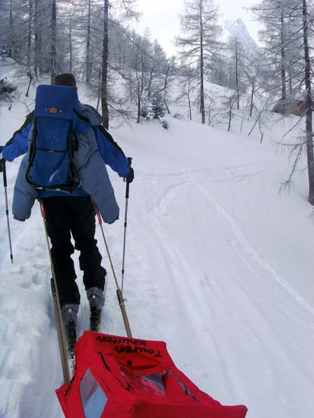 der Große Traunstein lugt durchs Geäst, die Alm ist nicht mehr weit