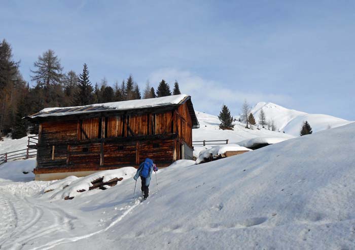 bald ist die Lobisse Alm erreicht und das Gelände wird frei; rechts hinten das Gasser Hörndle, ein weiterer beliebter Schiberg jenseits des tiefen V-Tales der Tögisch (im Archiv Bergsteigen am Ende des Lasörling-Berichts zu finden)