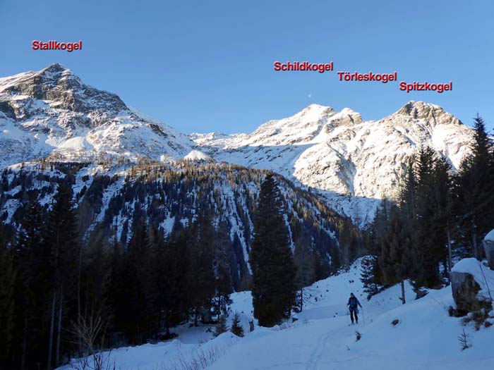 am Forststraßenaufstieg durch den Landeggwald machen uns die unbekannten Venedigergipfel jenseits des Tauernbachs neugierig