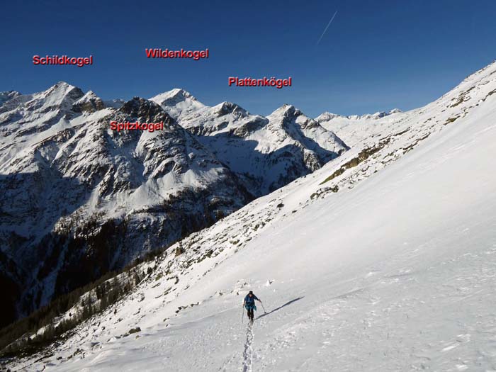 schnell lassen wir die Waldgrenze unter uns; Blick gegen Westen