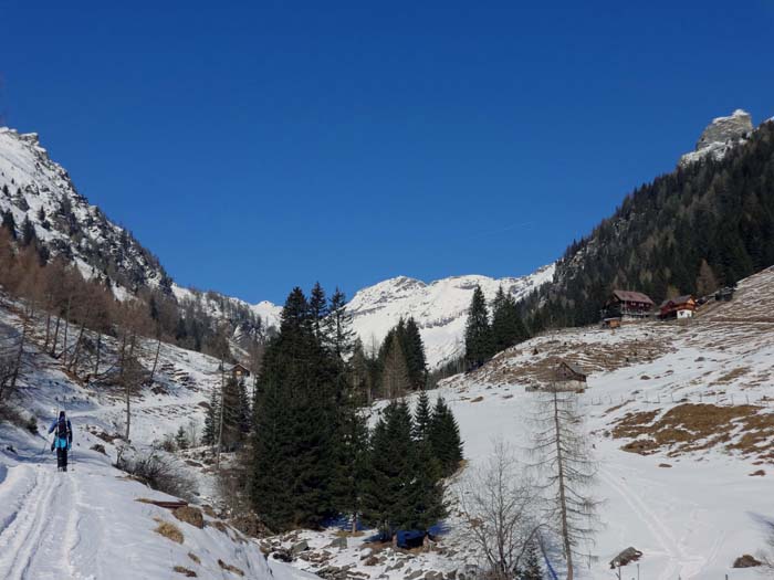 der kilometerlange Anmarsch scheint sich zu lohnen: Unter der Kohlmaierhütte könnte man sich noch fürs Gmeineck entscheiden (rechts hinauf), hinten überm Talschluss die Hohe Leier