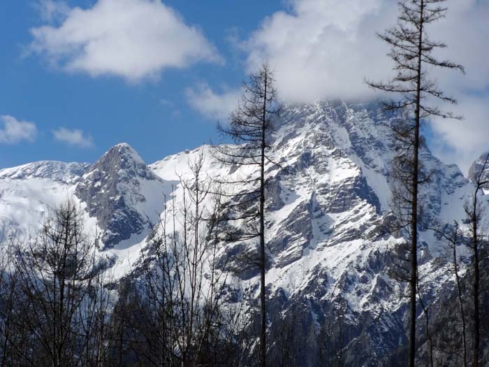 gleich zu Beginn sieht man sich umringt von einer Vielzahl rassiger Schitourenmöglichkeiten, wie etwa hier links der Bildmitte die Meisenbergrinne an der Spitzmauer ...