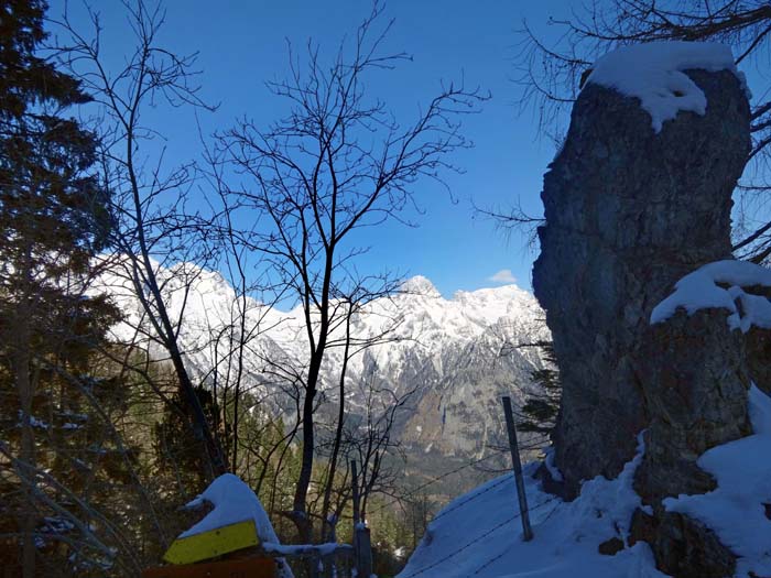 die folgende längere Waldquerung schenkt einen Vorgeschmack auf den etwas weiter westlich verlaufenden Stodertaler Dolomitensteig; Blick vom „Trogaden Stoa“ gegen NW auf Spitzmauer und Gr. Priel (mit dem Wölkchen)