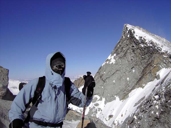 Ullipercht mit Großelendkopf