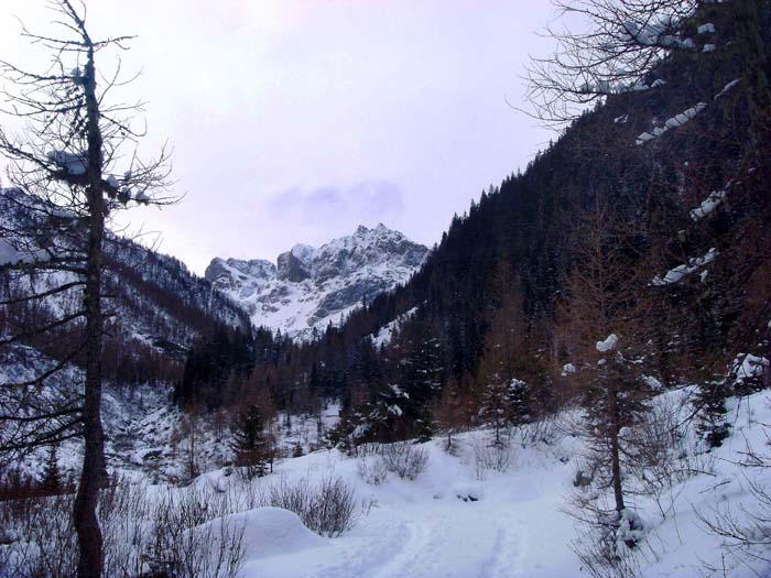 ... später mit Blick auf Monte Peralba und Weißsteinspitze, ...