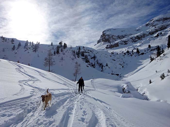 ... welcher zur bereits vom Aufstieg bekannten Schneebrücke über den Bach hinunterleitet