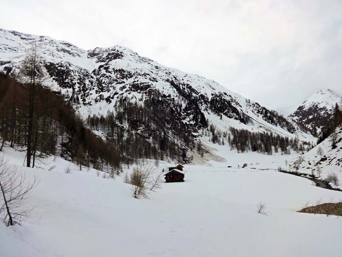 vor der Lackenkammeralm im hinteren Winkeltal; links der Gipfelgrat zur Hochgrabe