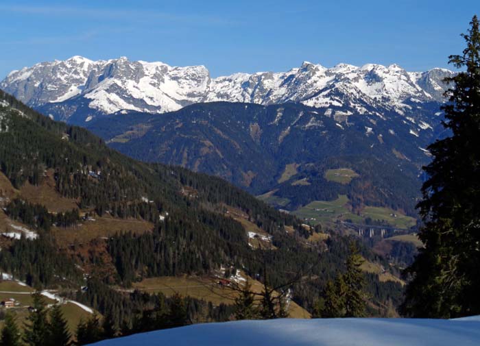 am Kamm selbst bewegt man sich meist durch dichten Hochwald, umso spektakulärer einzelne Aussichtsfenster, wie hier von der knapp nördlich der Kammhöhe verlaufenden Forststraße auf die Südabstürze des Tennengebirges (eine nette Sommerrundtour über den gesamten Bildbereich im Archiv Bergsteigen: Tauernkogel - Streitmandln)