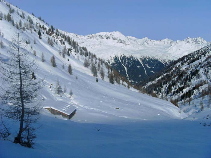 die Hintere Stalle liegt auf ca. 2050 m; die Berge im N jenseits des Defereggentales gehören zur Venedigergruppe: in der Mitte das Weiße Beil, rechts der Lasörling-Doppelgipfel