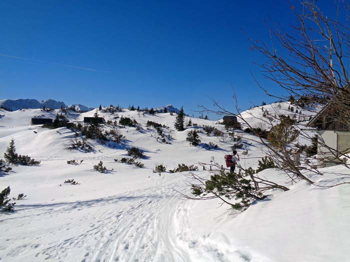 ... zur weiten Fläche der Sonnschienalm, die wieder über 100 m höher als der Sackwiesensee liegt