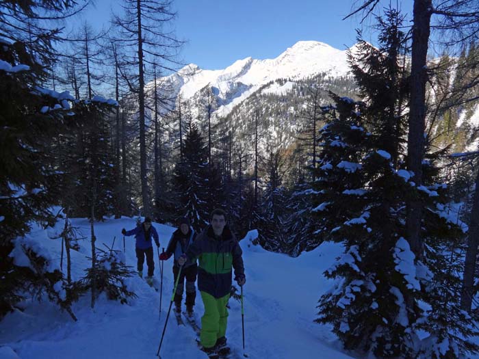 ... direkter durch den Wald hinauf; die Gipfel der Kräuterin überragen unsere kleine Gruppe