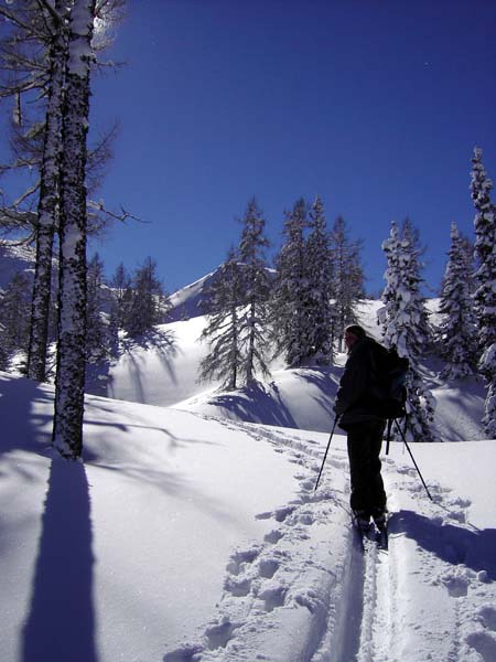 Wintermärchen auf der Mitterhalt