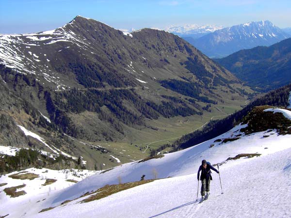 nach der Querung aus der Langschneerinne erreichen wir den Nordrücken des Stierkarkopf; Tiefblick ins Sattental, rechts hinten der Grimming