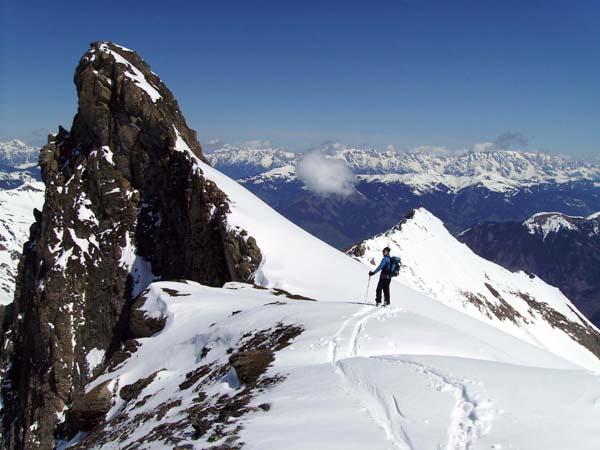 die kecke Zwingspitze, Blick zum Hochkönigstock