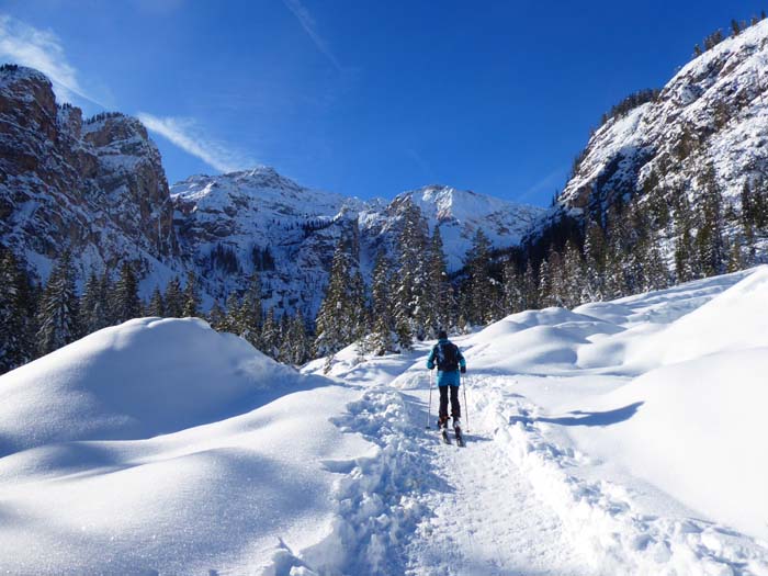 vom Brückele hinter Altprags gleiten wir ins Kaserbachtal hinein; im SSW die Kleine Gaisl