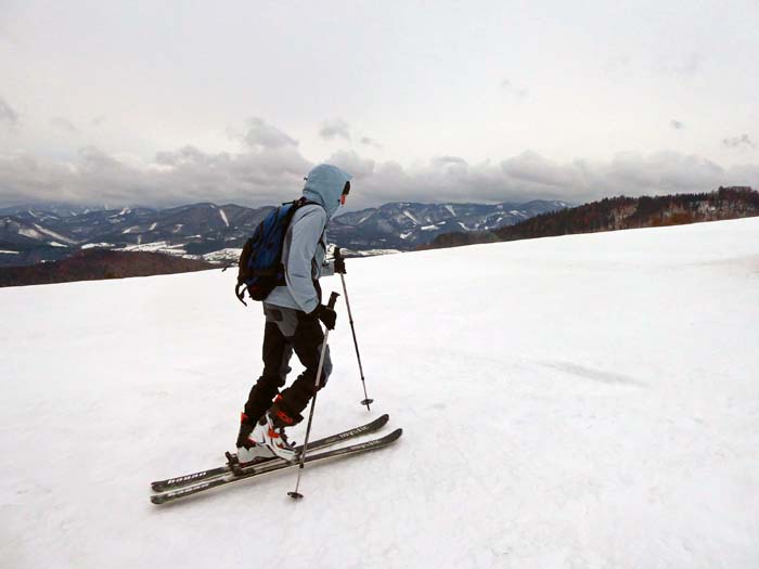 Ulli im Eilschritt auf dem langen freien Kamm der Jubiläumsweide; im Süden das Gölsental und die Gutensteiner Alpen