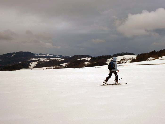 ... erreichen wir die freien Höhen ums Haberegg; als flacher Waldkopf links ist der letzte Gipfel unserer Traversierung zu erkennen, die Steinwandleiten, dahinter schon die Ausläufer der Türnitzer Alpen; das Klettband an Ullis Schuh lässt Rückschlüsse auf die herrschenden Windverhältnisse zu