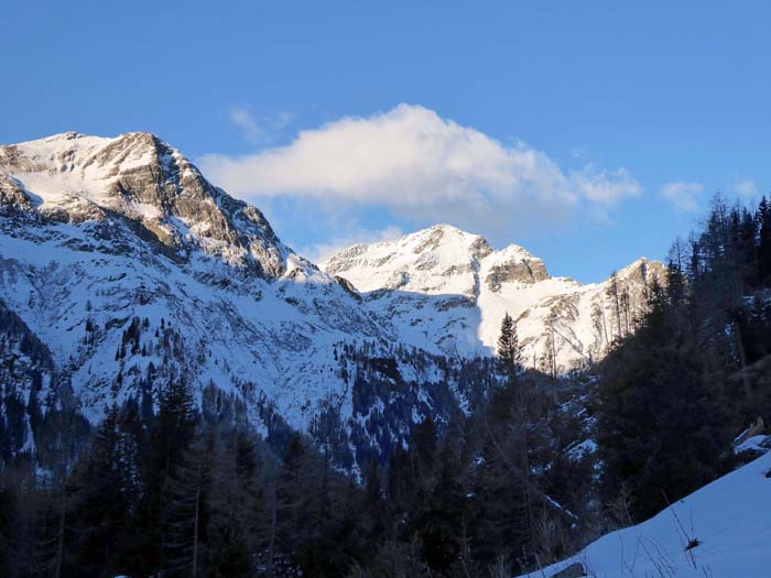 Blick von der Forststraße talaus auf den mächtigen Schildkogel (Mitte, s. Archiv)