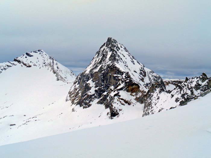 wenig unter dem Gipfel steigen wir auf den sanften WSW-Grat aus, überrascht von den alpinen Formen von Sonnblick, Granatspitze und Keeswinkelgrat