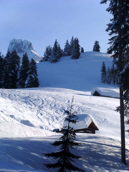 Lederingalm gegen O auf die Bischofsmütze