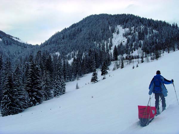 die Wiesen der Schwaigrotte oberhalb St. Martin gegen W, links der Karbachgraben; wir erreichen die Karalm allerdings durch rechtsseitige Umgehung des bildbeherrschenden Höheneggkopf