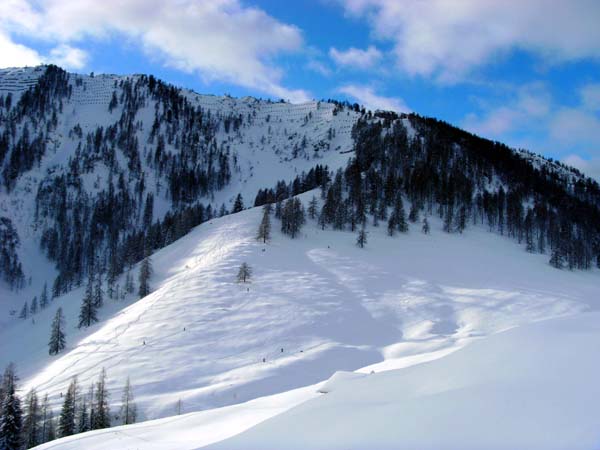 Karalm gegen SW; der weitere Aufstieg auf die Koreinhöhe zieht durch das Walddreieck rechts, der Wintergipfel versteckt sich dahinter