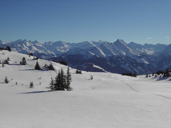 Schellenbergkogel gegen SO (Stubach- und Felbertal, Mitte hinten Großglockner)