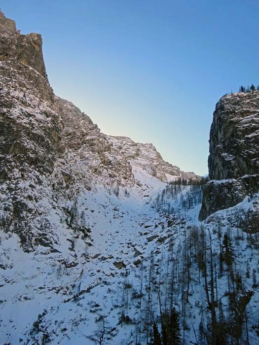 vor dem letzten Steilaufschwung zweigt links der „Baumgarten“ ab, Fußpunkt für eine Reihe von Felspfeilern gewaltigen Ausmaßes mit abenteuerlichsten Klettertouren, beispielsweise dem „Erich Vanis Gedenkweg“, 6+, 36 SL