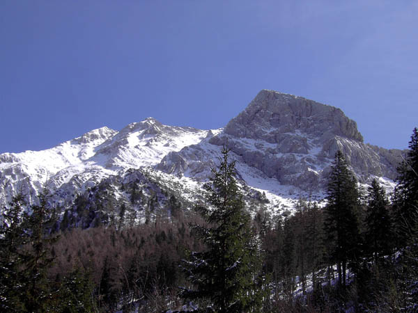 Wagenriedelschlag gegen O (Lugauer); noch eine kurze Steilstufe und wir haben die Haselkaralm erreicht