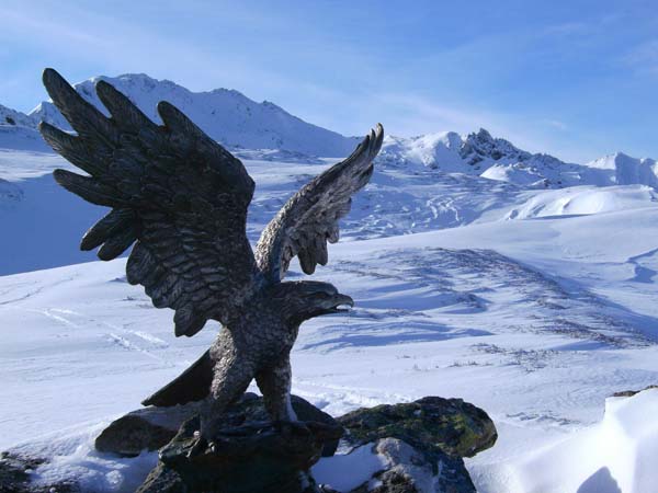 der Metalladler am Gipfelplateau des Gerkogel gegen SW (Mahdleitenkopf)