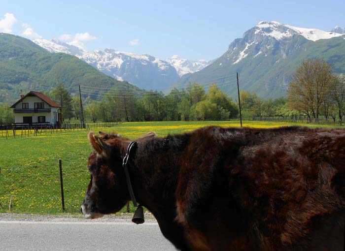 ein paar Kilometer westlich von Plav das Tor zu den höchsten Bergen Montenegros und Albaniens