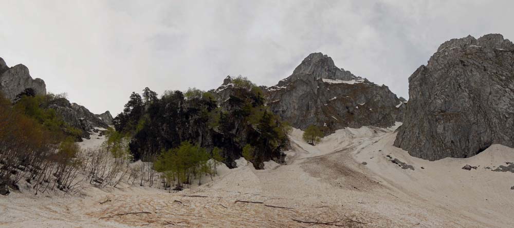 nach dem Laubwald betritt man den unteren Karboden