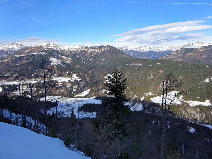 ... betreten wir über einen Waldsporn die steile, schattige 1000-Meter-Flanke der Mauthner Alm, die sich dank einer Forststraße langwierig, aber dafür mühelos überwinden lässt; jenseits des Lesachtals Mussen und Gailbergsattel