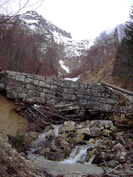 einer der alten Natursteindämme wurde glatt durchbrochen, durchs Loch wird einer der unüberwindlichen Baumverhaue sichtbar