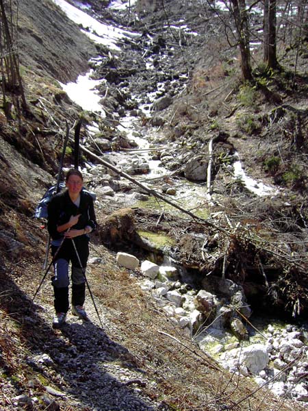 keine 50 Hm über der Grabensohle gibt es auf dem bequemen Jagdsteig nur zwei kurze Hindernisse zu überwinden, eines davon ist der Finsterwaldgraben, dessen alter Steg weggerissen wurde