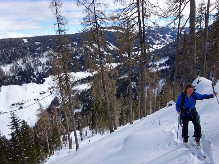 Aufstieg im oberen Streifwald überm Kartitscher Sattel; die Schläge sind steiler, als es den Anschein hat