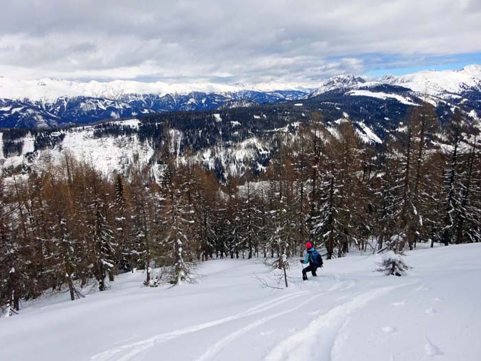 Einfahrt in den obersten, noch flacheren Waldgürtel; im Hintergrund die Villgratner Berge