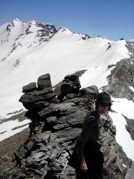 Blick von den Sägezähnen des Grates nach O: Krumlkeeskopf (links), Noespitze und Herbertturm