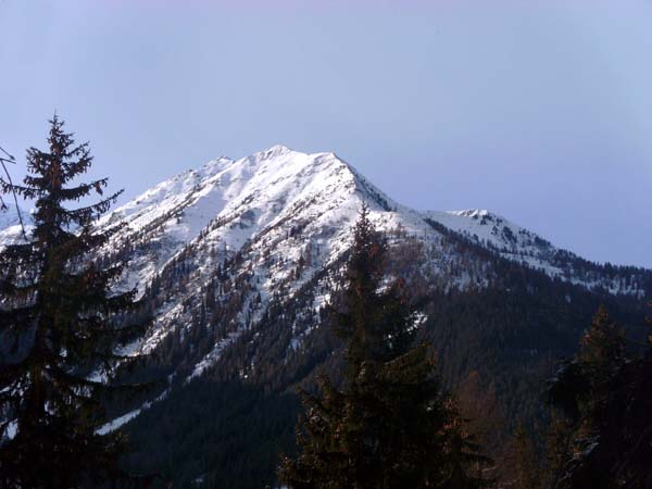 die Öfenspitze von NO (Aufstieg zum Dorfberg)