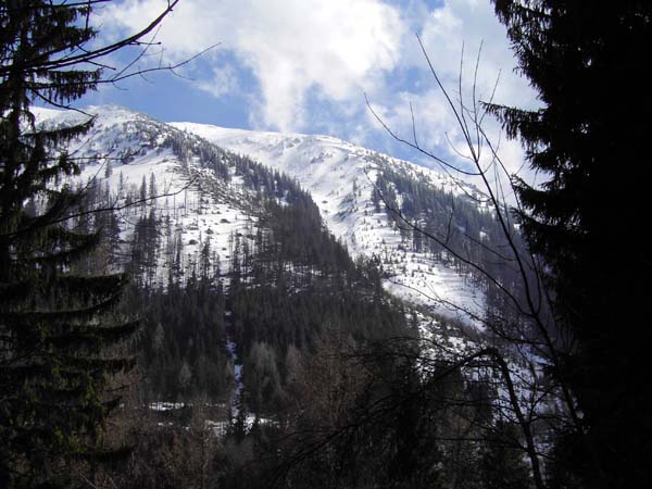 Rückblick auf die Kreuzplan (Forststraße Raneck, April)