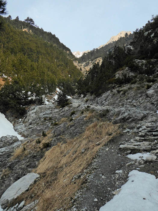 die Gräben werden seichter, trotz des guten Steiges dürfte der Aufstieg zur Agapitoshütte bei Schnee ohne Spur nicht leicht zu finden sein