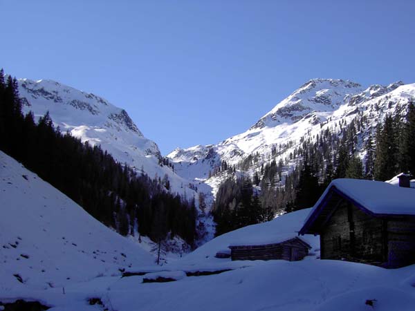 endlich ist das Hochtal erreicht; Scharrn-Grundalm mit Schafkopf (rechts)