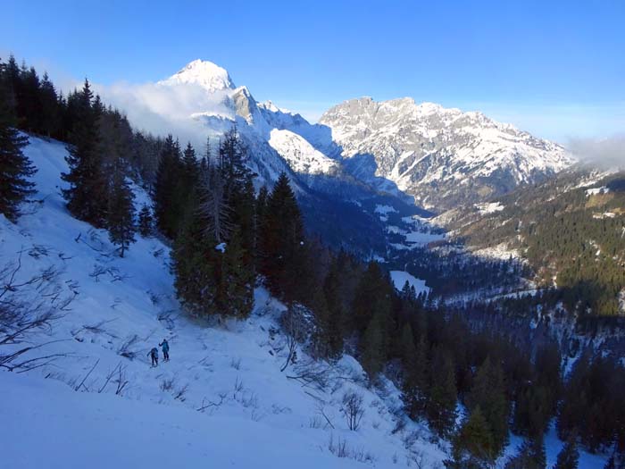 gut 200 Hm unterhalb des Gipfels verlassen wir die Forststraße und steigen erst über ziemlich steiles, aufgelockertes Waldgelände, ...