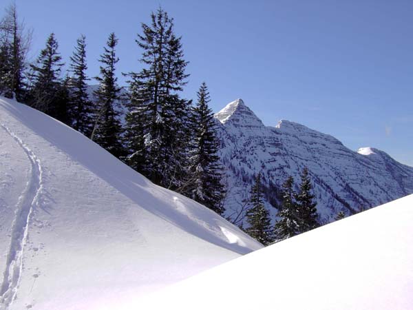 Blick vom Sattel zwischen Petergupf und Loskogel nach S auf den Schrottkamm