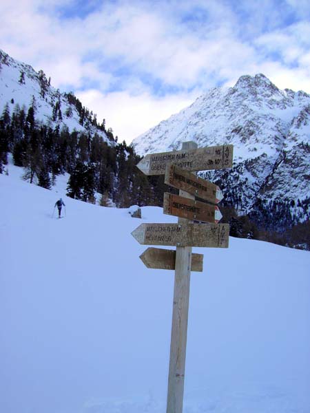 nach gut eineinhalb Kilometer geradlinigen Forststraßenaufstiegs erreichen wir die Matscher Alm, vor der Verengung des Saldurnbaches