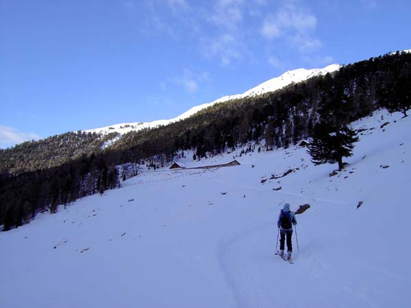 Matscher Alm mit Portlersspitze, wir wenden uns hinter der Alm nach rechts und steigen durch den nicht mehr breiten Waldgürtel hinauf zum Pleresboden